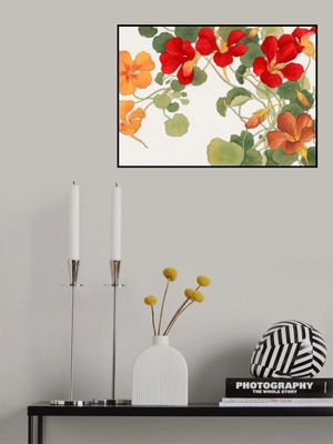 Nasturtium Flower No.2