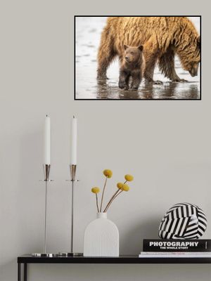 On a mission to catch my first salmon