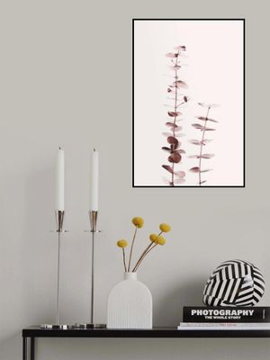 Eucalyptus Copper No 02