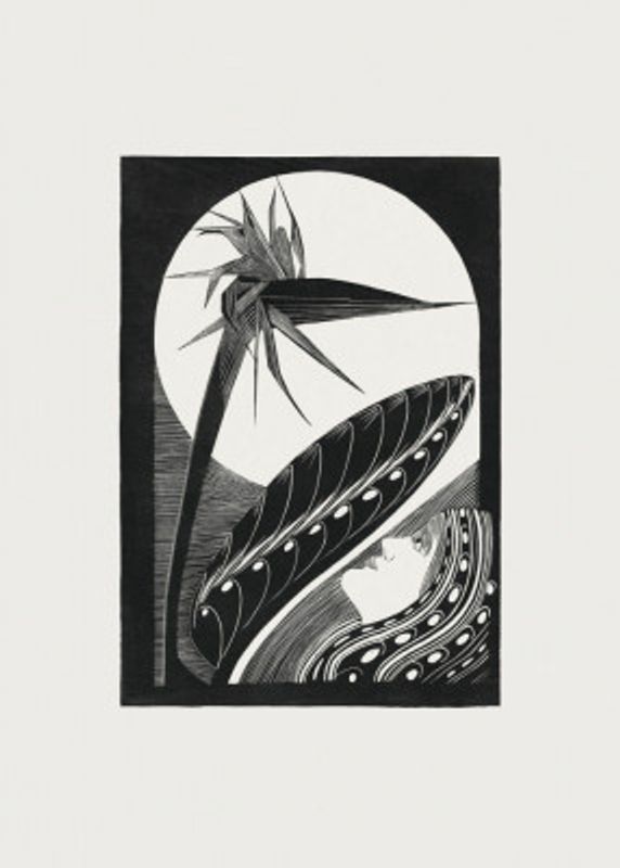 Strelitzia Overblown