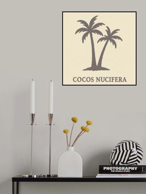 Cocosnucifera(light)