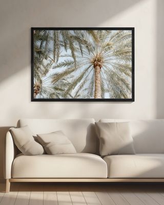 Palm Trees with blue sky