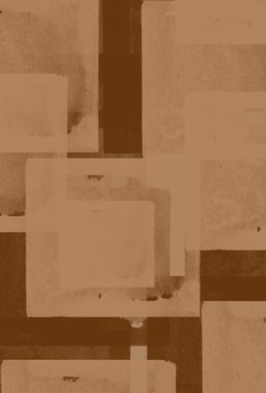 Sepia Geometric Flow