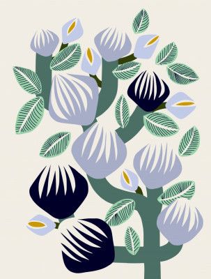 Expectant Iteration Bold Branch