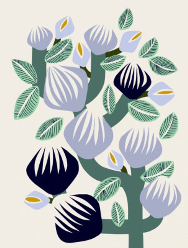 Expectant Iteration Bold Branch