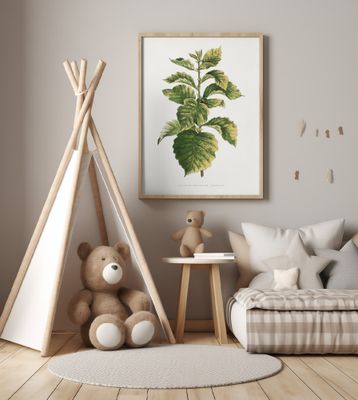 Common Hawnthorn Leaf Illustration