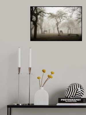 Horses in a foggy orchard