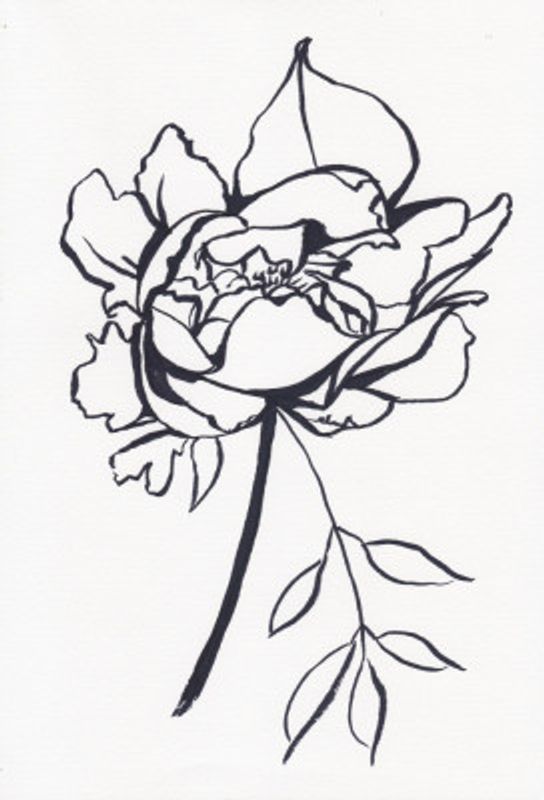 Black and White Peony Small