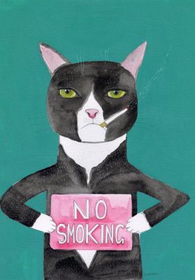 Smoking cat