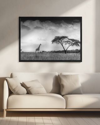 And I dreamed of Africa