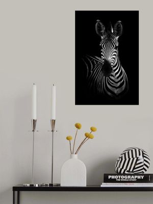 The Zebra