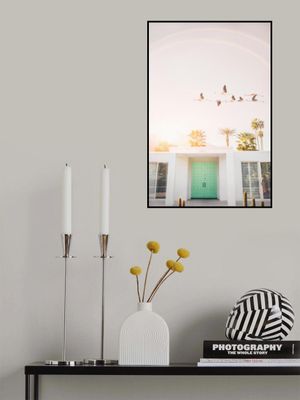 Flamingos In Palm Springs