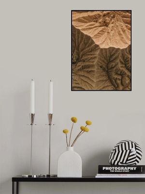 Earth's Textured Veins