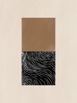 Geometric and Organic Shapes