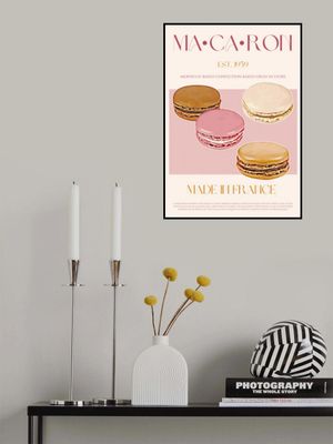French Macaron Delight