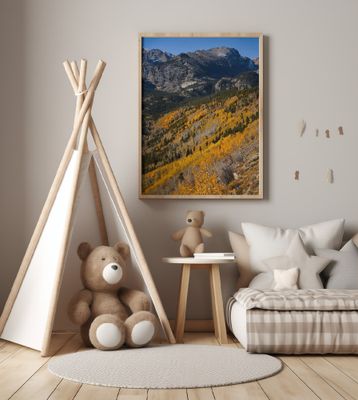 Autumn in the Rockies II