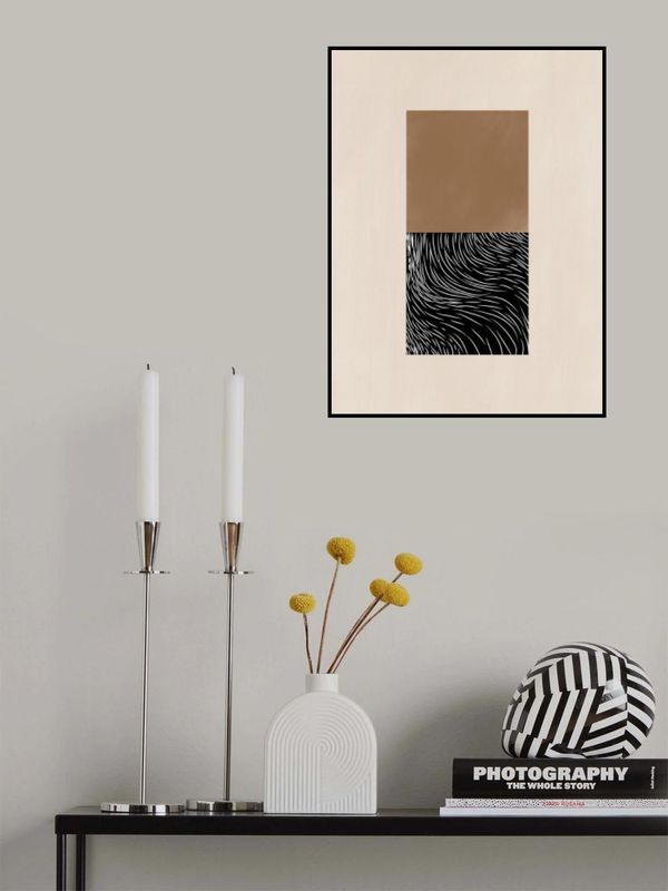 Geometric and Organic Shapes