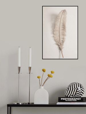 Feather_002