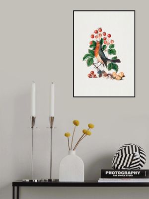 European Robin and Wild Strawberry