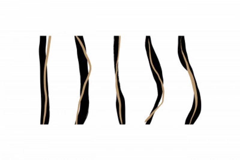 Black And Beige Wavy Lines On A White Background