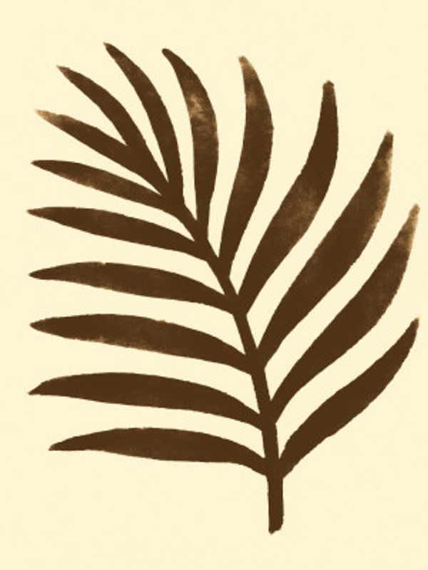 Silhouette Leaf