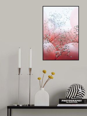 Delicate Blooms and Pink Balloons