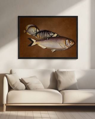 3 Fish - the Brown Edition