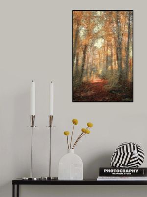 Path Of Falling Leaves