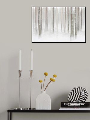 Winterforest in Sweden