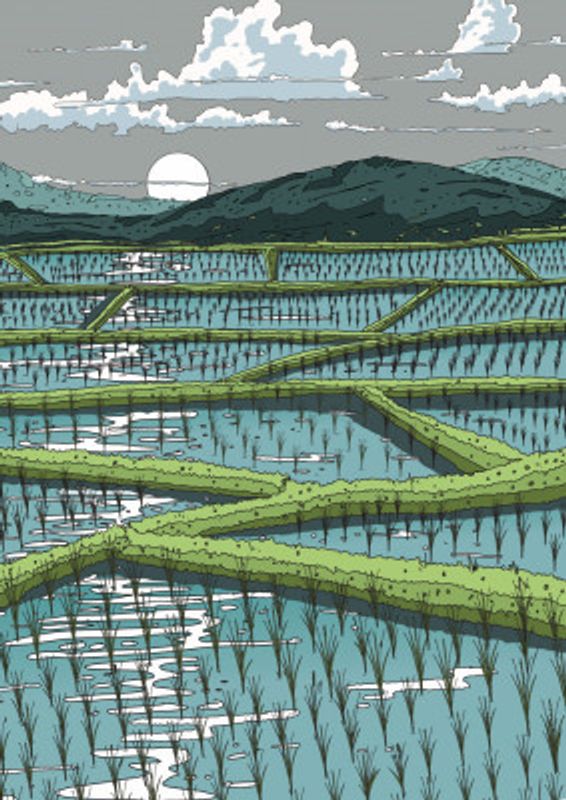 Rice Field landscape