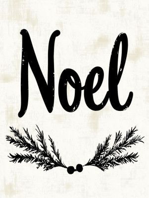 Festive Noel Design