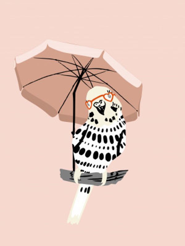 budgie on vacation soft pink