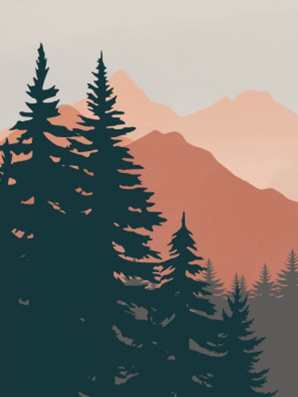Pine Trees In The Mountains