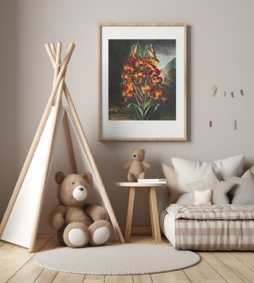 The Superb Lily from The Temple of Flora (1807)