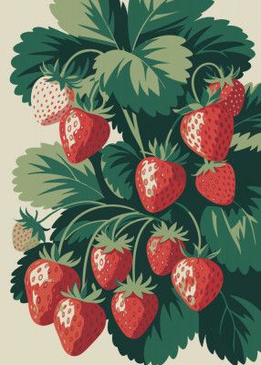 Juicy Strawberry Delight