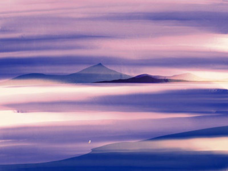 Lone seagull in purple nature