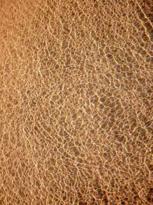 Shades of the Algarve II