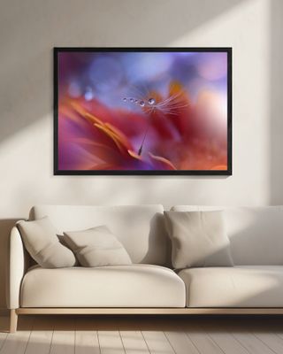 Dance in the Light...