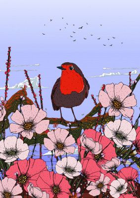 Robin Bird In The Summer