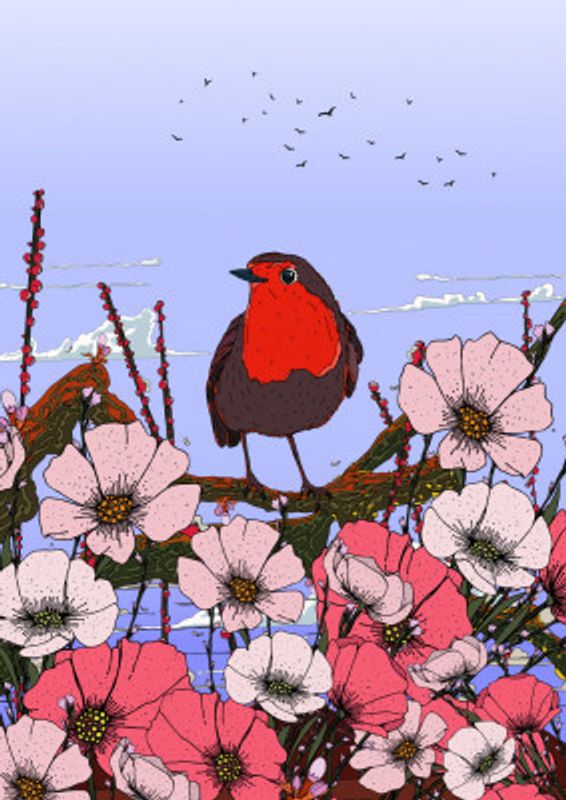 Robin Bird In The Summer