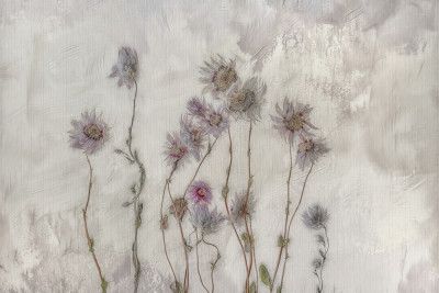 Dried flowers