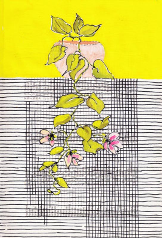 Mid century modern hanging plant in front of lines