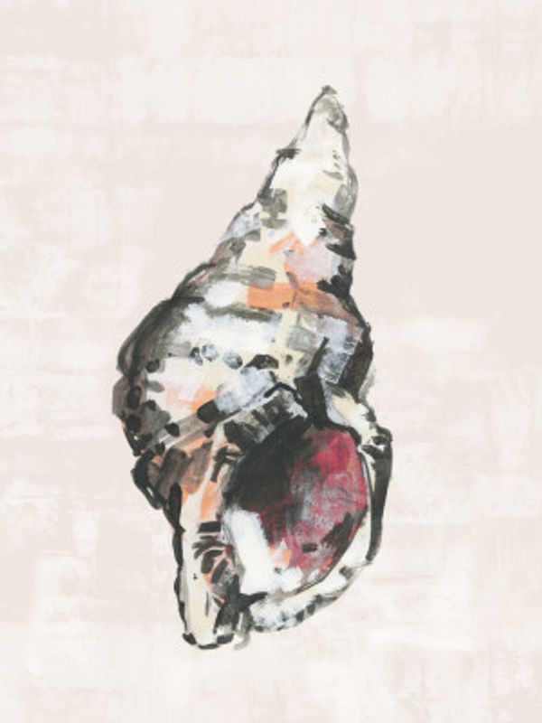 Shell Collector Art Print No 2