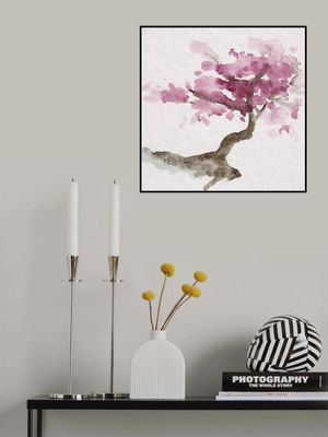 Japanese Tree With Pink Cherry Blossoms