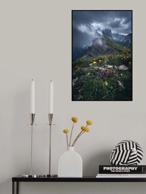 Dolomites - Seceda 2500