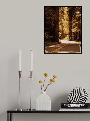 Road to the Redwoods