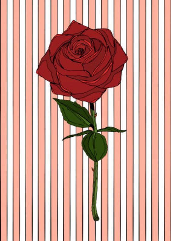 Red Roses And Lush Green Leaves