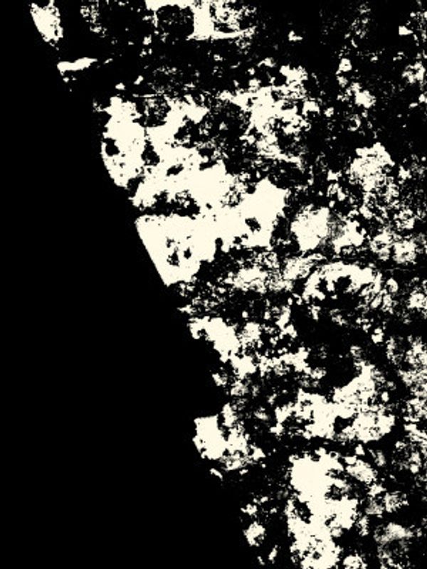 Striking Black and White Texture