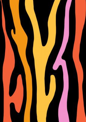 Groovy Zebra Patterns