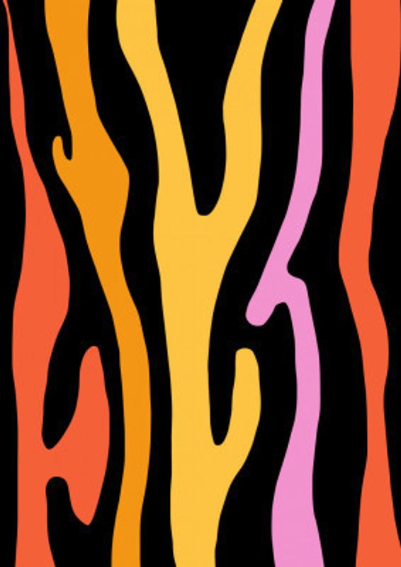 Groovy Zebra Patterns